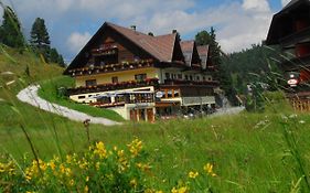 Hotel Turracherhof 4*